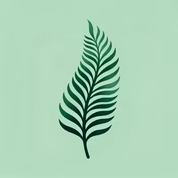 A Guide to Ferns