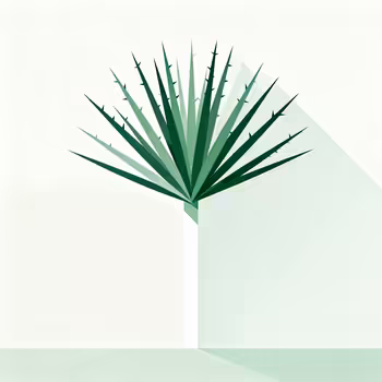 The Yucca Plant: A Spiky Friend for Your Home